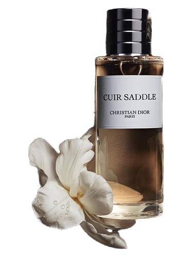Dior Cuir Saddle