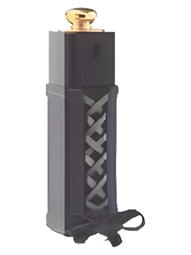 Dior Dior Addict Dior Twist