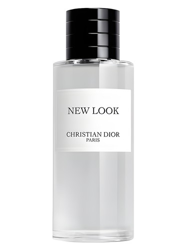 Dior New Look 2024